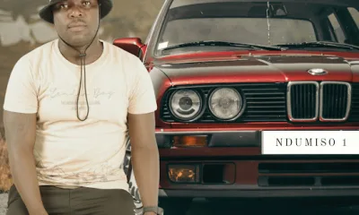 Download Phangandawo Igusheshe EP