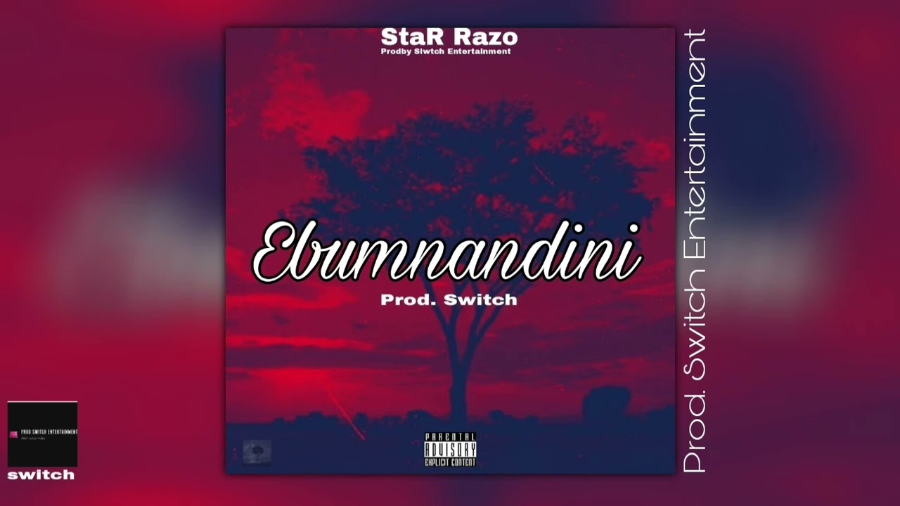 Dlala Thukzin - Ebumnandini StatRazo