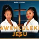 Download Sneh Awehluleki Jesu Album