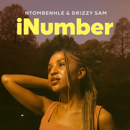 Ntombenhle - iNumber