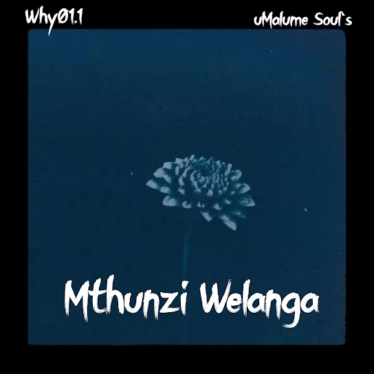 Why01.1 - Mthunzi Welanga