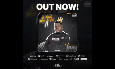 Download Ngobz A King Was Born II Album