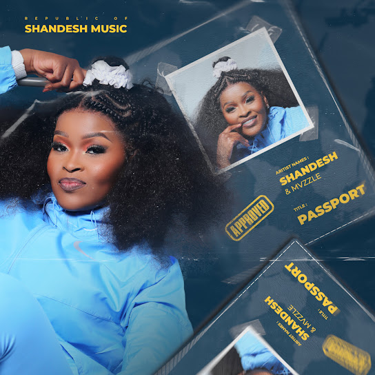 Shandesh - Tshwara Tlhogo