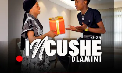 Download Incushe Dlamini Eyakho Yonke EP