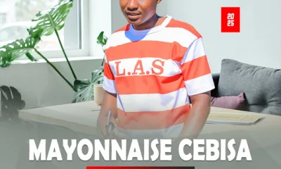 Download Mayonnaise Cebisa Unama Shende EP