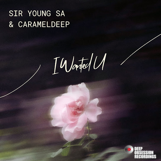 Sir Young SA - I Wanted U