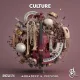 Download Aquadeep & Veesoul Culture EP