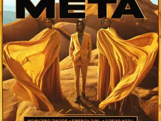 Nomcebo Zikode – META ft. Sofiya Nzau (feat. Fireboy DML) & Fireboy DML Mposa.Co.Za