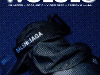 mr JazziQ - Wololo Ft. Focalistic, Vigro Deep, Freddy K & M.J Mposa.Co.Za