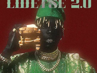 Xduppy - Lwetse 2.0 ft. Angekebabuye Mc, Focalistic, Benzoo, Uncle Waffles, Dj Maphorisa & Mluusician (Prod. Gomolemo Joy Gumede, Themba Sekowe, France Bila & Lungelihle Zwane) Mposa.Co.Za