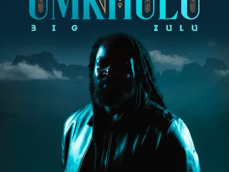 Big Zulu - Bengifisa ft. Boohle Mposa.Co.Za