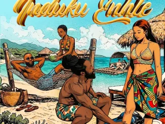 Big Zulu - Induku Enhle ft. Cassper Nyovest Mposa.Co.Za